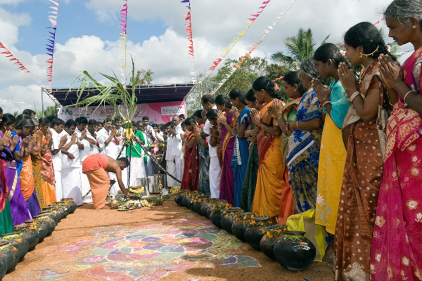 Pongal festival at Kinathukkadavu near Coimbatore, Tamil Nadu.