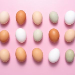 What To Look for When Shopping for Eggs