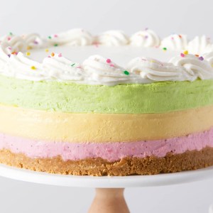 Rainbow No-Bake Cheesecake