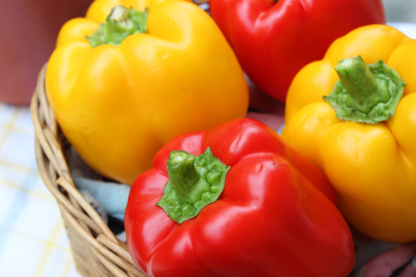 Red and yellow bell peppers in a basket