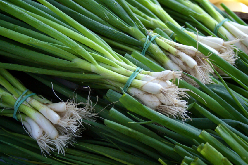 A stack of fresh green onion