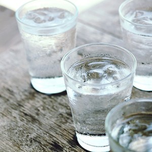 Why Sap Water is the New Drink Craze