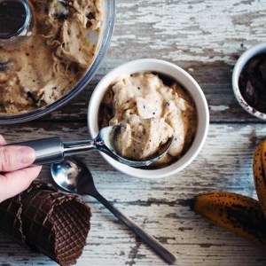 Dairy-Free Peanut Butter Chocolate Chip Ice Cream