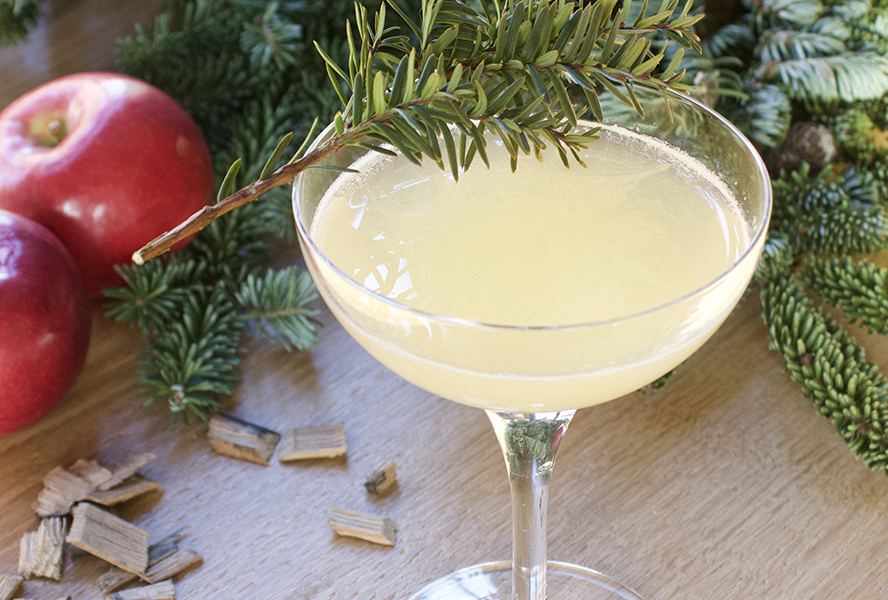 gimlet cocktail with spruce tips