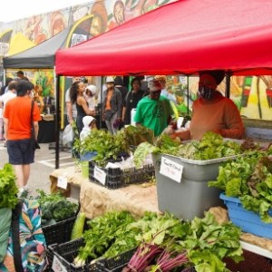 An Afro-Caribbean Farmers' Market is Helping Revitalize a Toronto Neighbourhood
