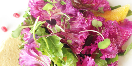 Purple Kale Salad and Hummus