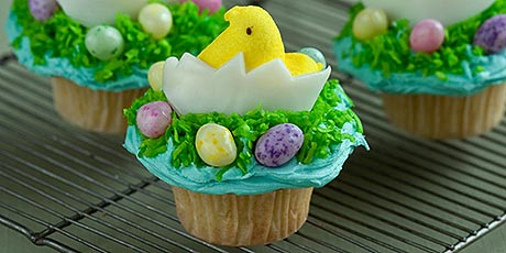 Chick and Egg Cupcake