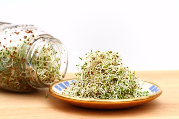 Grow Sprouts in Your Kitchen