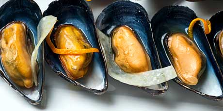 Blue Mussels on the Half Shell