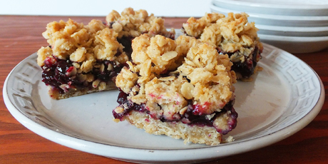 Blueberry Maple Oat Squares