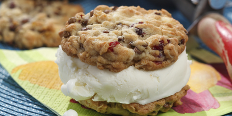 Cranberry and White Chocolate Oatmeal Cookie Ice Cream Sandwiches