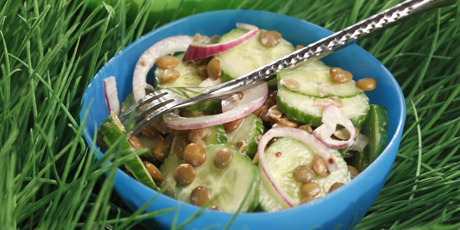 Creamy Lentil and Garden Cucumber Salad