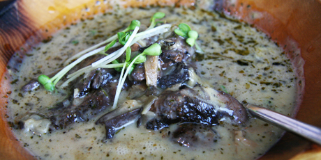 Garam Masala Sauteed Portobello Mushrooms in Porcini Cream Curry