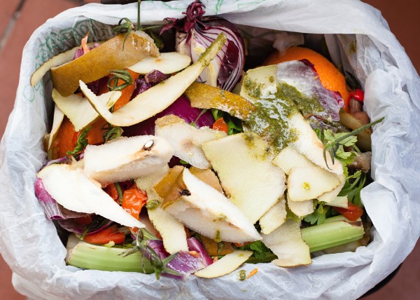 Turn Food Waste Into Compost