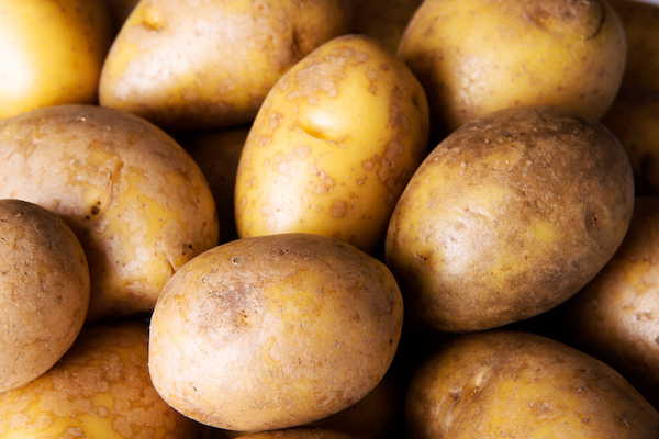 Head of Potatoes
