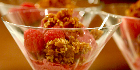 Quick Berry Frozen Yogurt with Crumble Topping