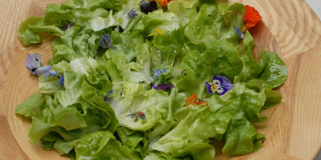 Salad with Nasturtiums and Raspberry Vinaigrette