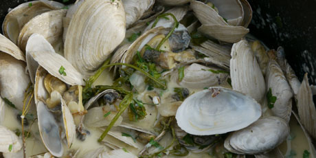 Steamer Clams with Pied-de-Vent Cheese