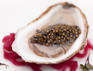 Warm Oysters in Chives Lemon Butter and Breviro Caviar