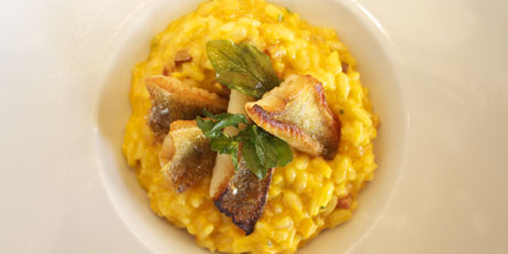 Yellow Perch with Butternut Squash Risotto