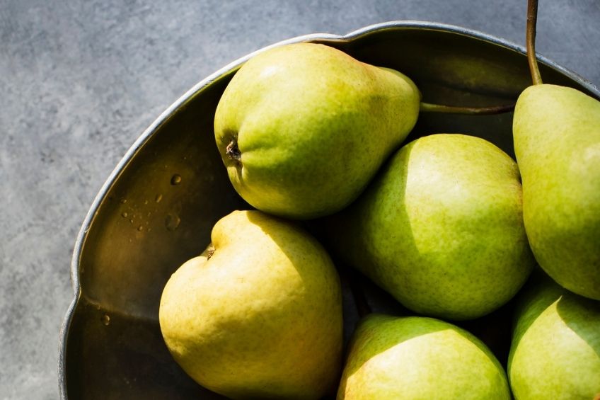 A bowl of pears sitting in the sunlight