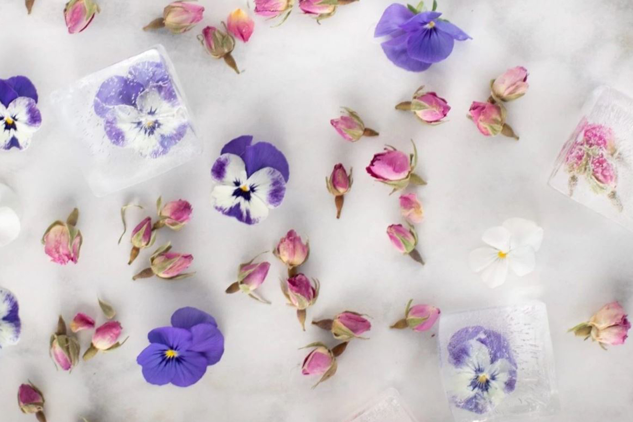 Andrea Villneff's beautiful floral ice cubes