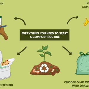 Composting for Beginners | Everything You Need to Get Started