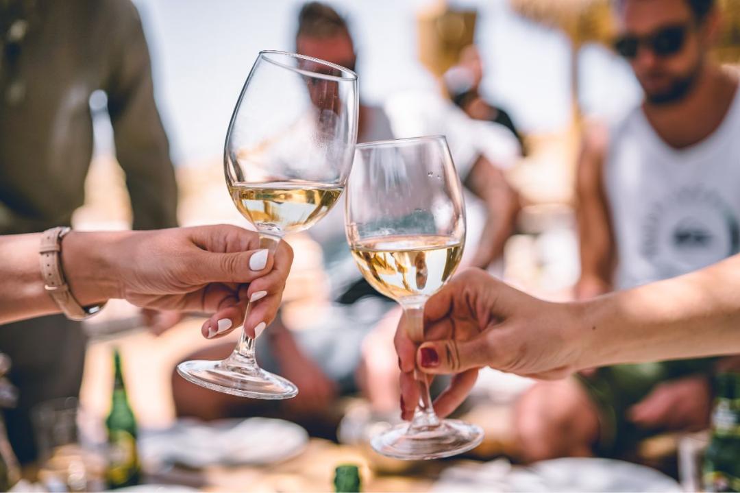 Winefest 2023 Try Hundreds Of Wines From Around The World