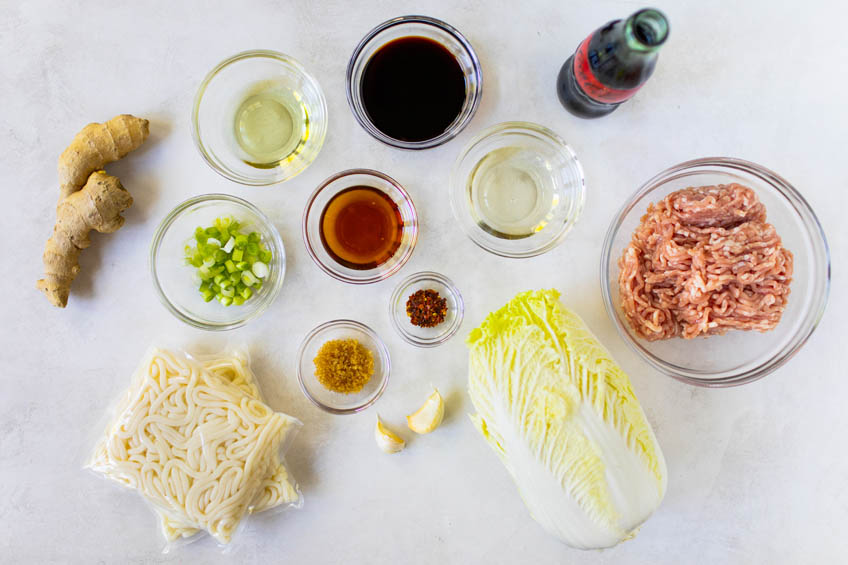 Ingredients for Pan-Fried Udon Noodles with Pork and Scallions