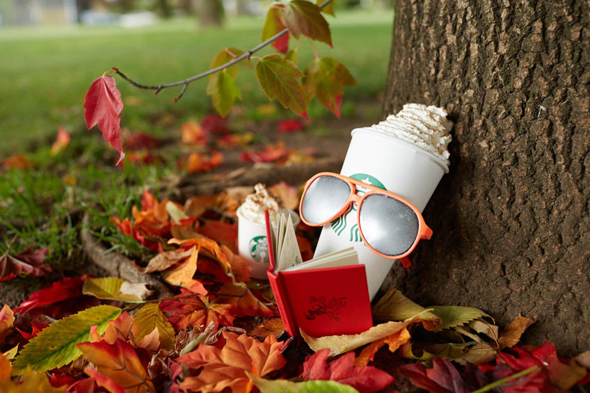 A Pumpkin Spice Latte reading a book and wearing sunglasses