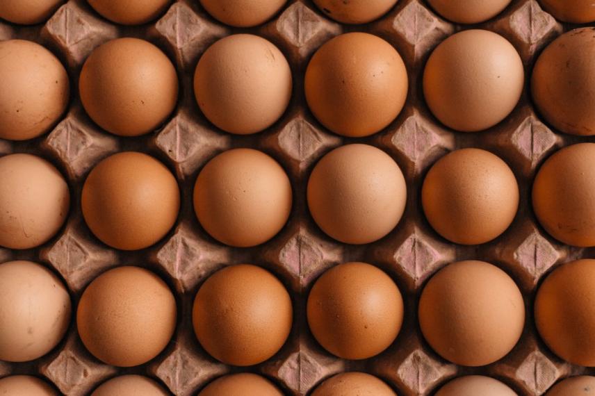  How Long Are Eggs Good Past Expiration Date We Investigate