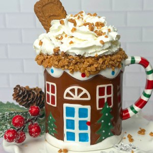 Curl Up With This Biscoff Hot Chocolate