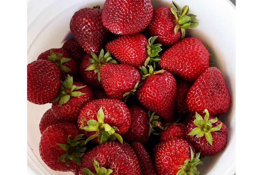 Close up of a white bucket of freshly picked strawberries