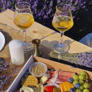 10 Best Lavender Farms in Ontario for a Scenic Picnic