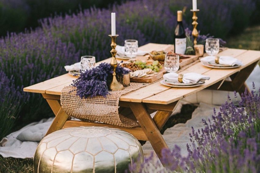 Picnic table set up in lavender field