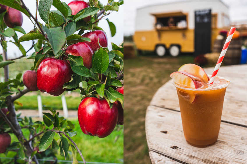 Apples and apple drink collage