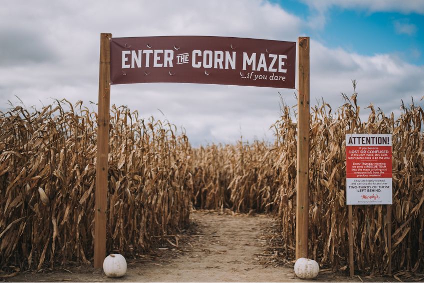 Murphy corn maze